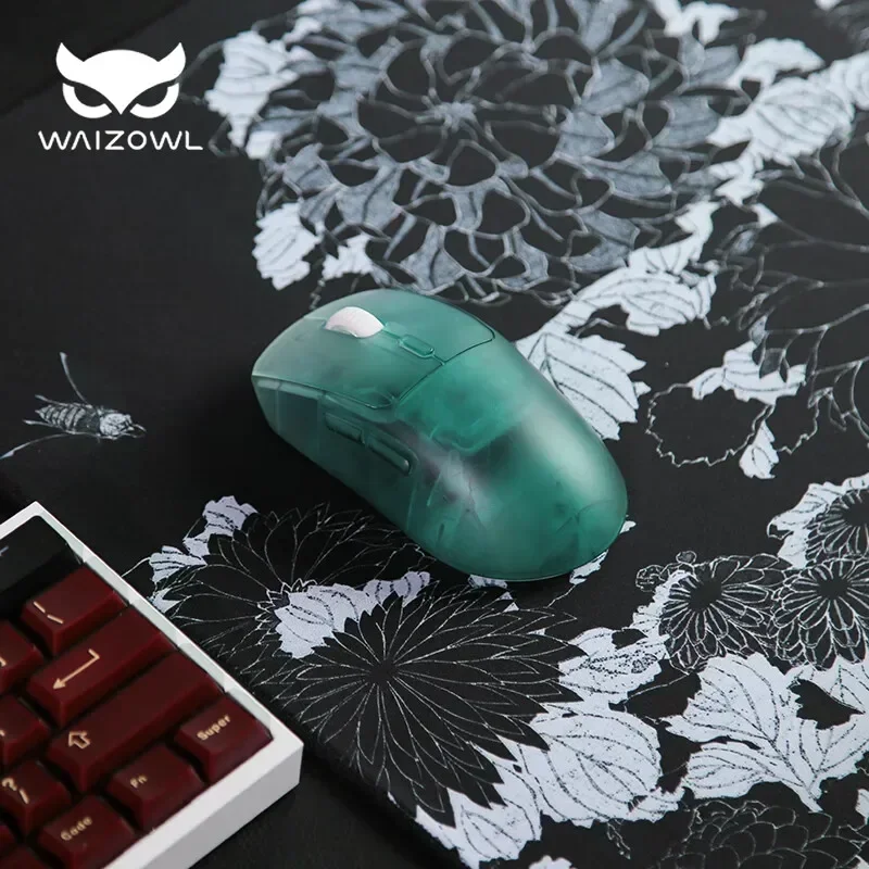 Waizowl OGM Pro Wireless Mouse – Laptop Accessories Design Bewertung und Preis